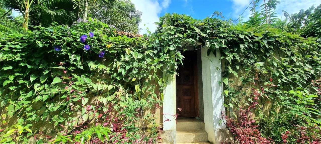 Sand Dollar House, Hiriketiya Dickwella Exterior foto